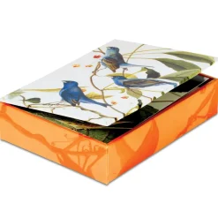 The Met Store Audubon Birds Notecards* Notecards & Correspondence