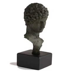 The Met Store Head of a Youth Sculpture* Sculpture