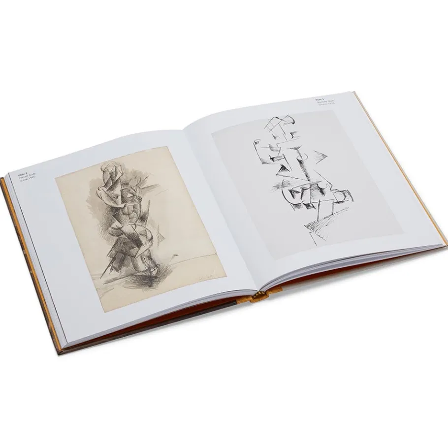 The Met Store Picasso: A Cubist Commission in Brooklyn* Coffee Table Books|Met Publications
