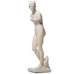 The Met Store Statue of Aphrodite Sculpture* Sculpture