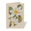 The Met Store Studies of Magnolias Quilled Card* Notecards & Correspondence