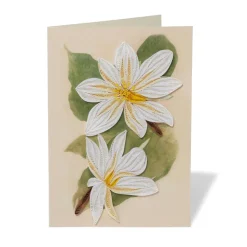 The Met Store Studies of Magnolias Quilled Card* Notecards & Correspondence