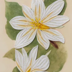 The Met Store Studies of Magnolias Quilled Card* Notecards & Correspondence