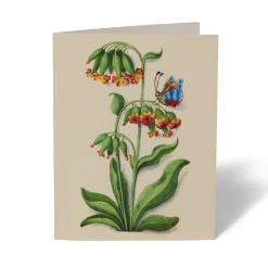 The Met Store The Met Cloisters Garden Notecards* Notecards & Correspondence